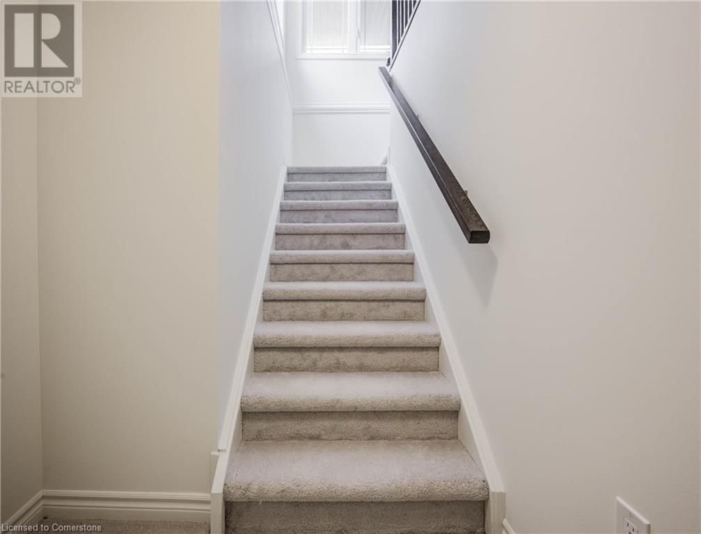 129 ELLEN STREET Image 25