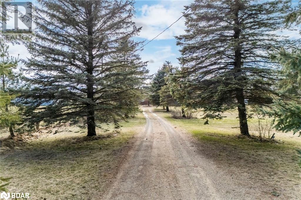 7078 COUNTY RD 56 Image 2