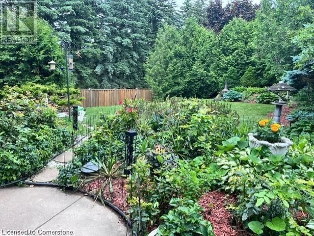 15 TRELAWNEY STREET Image 48