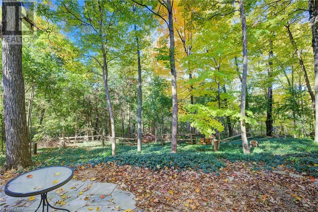 279 FERNDALE PLACE Image 39