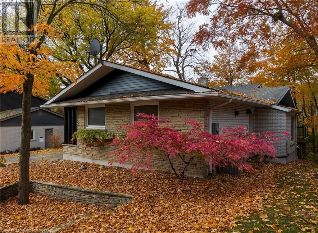 279 FERNDALE PLACE Image 44