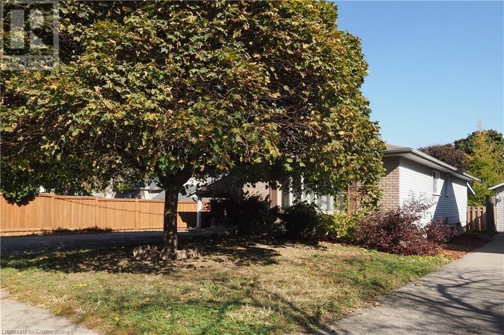 11 MCKAY STREET Image 2