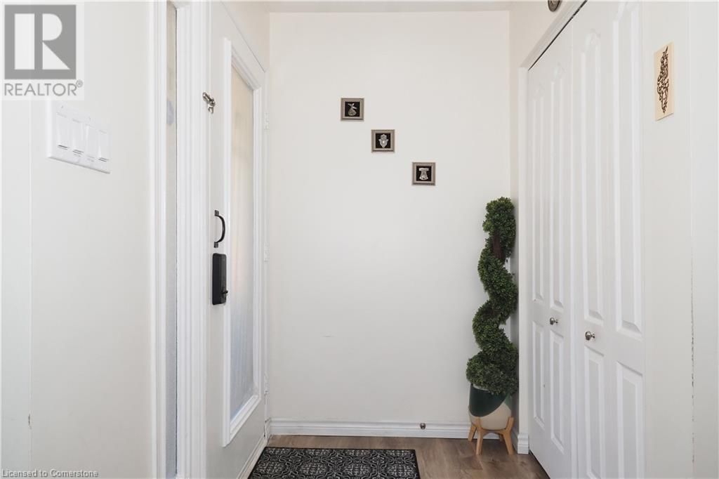 11 MCKAY STREET Image 7