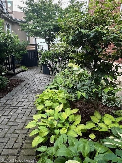 91 MOUNTAIN PARK AVENUE Image 8