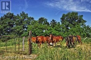 137 SOUR SPRINGS ROAD Image 17