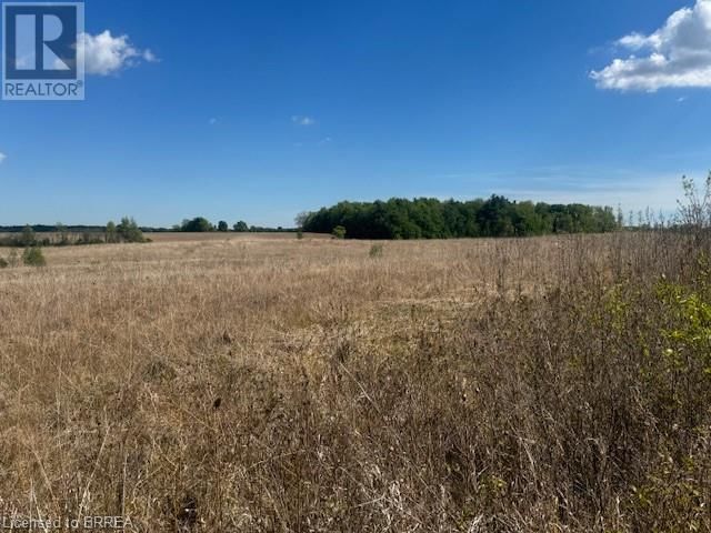 137 SOUR SPRINGS ROAD Image 5