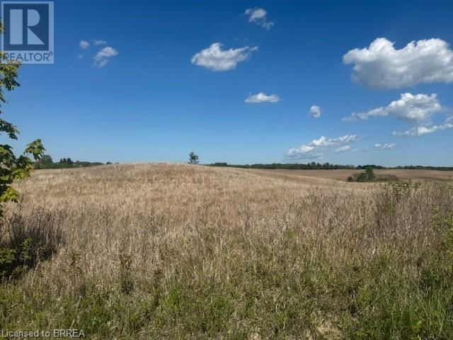 137 SOUR SPRINGS ROAD Image 6