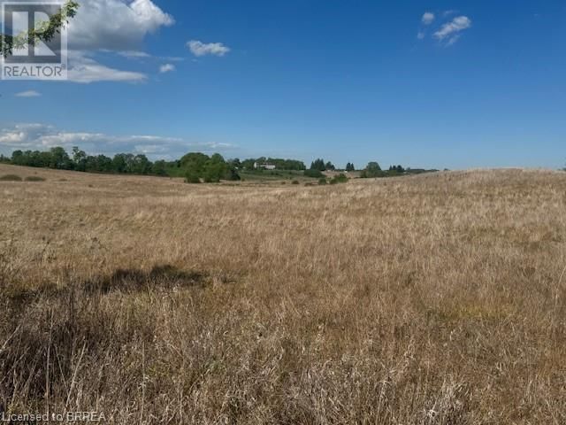 137 SOUR SPRINGS ROAD Image 9