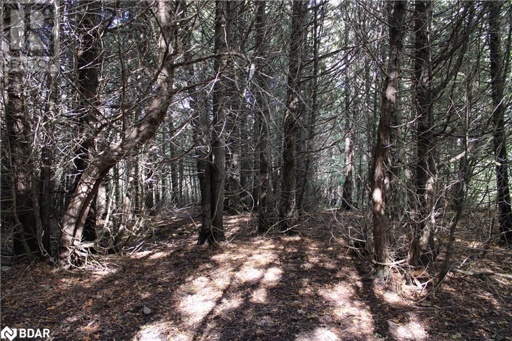 388 WOODLAND DRIVE Image 11