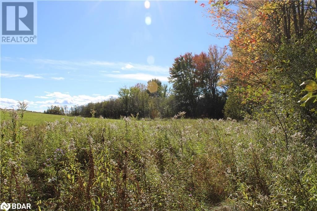 388 WOODLAND DRIVE Image 13