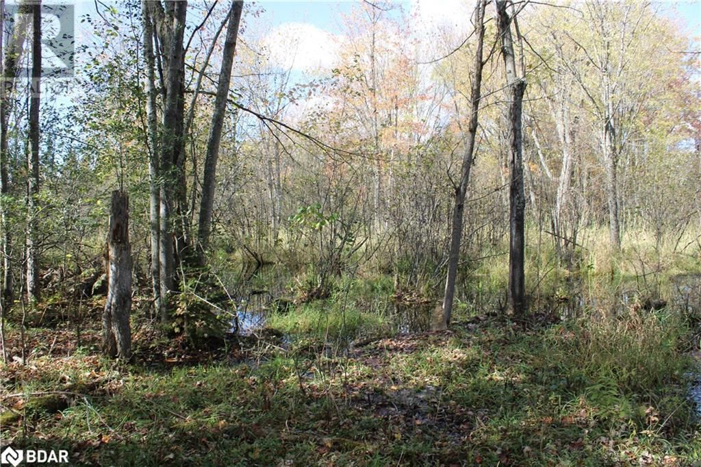 388 WOODLAND DRIVE Image 14