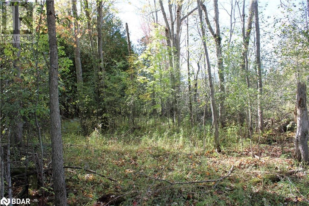 388 WOODLAND DRIVE Image 15