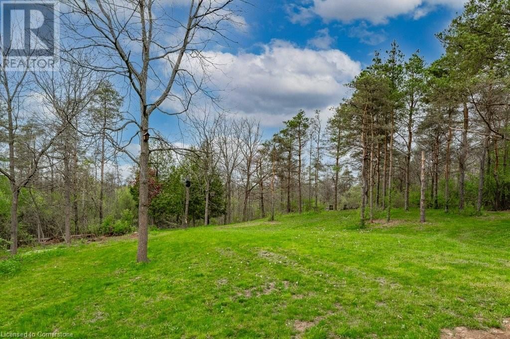 1040 CLYDE ROAD Image 47