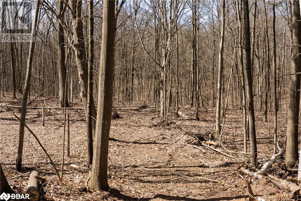 8294 COUNTY RD 27 Image 10