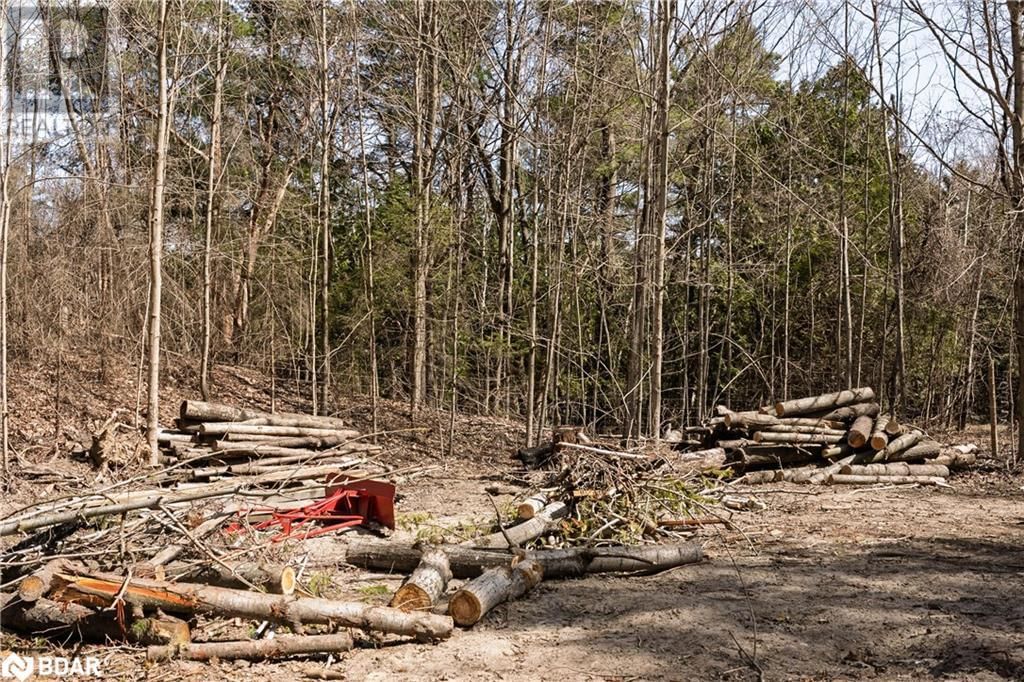 8294 COUNTY RD 27 Image 11