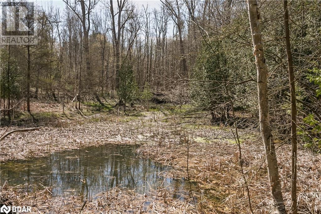 8294 COUNTY RD 27 Image 13