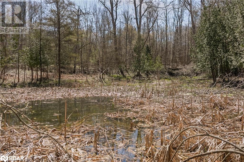 8294 COUNTY RD 27 Image 14