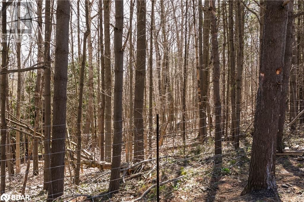 8294 COUNTY RD 27 Image 15