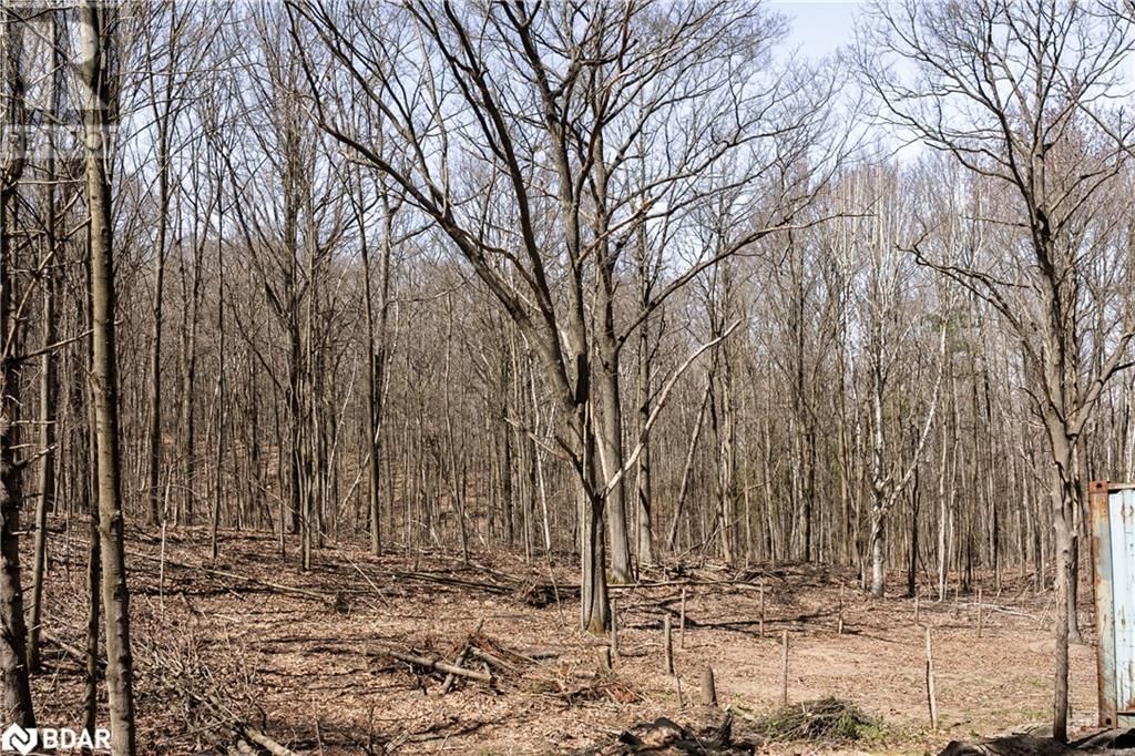 8294 COUNTY RD 27 Image 16