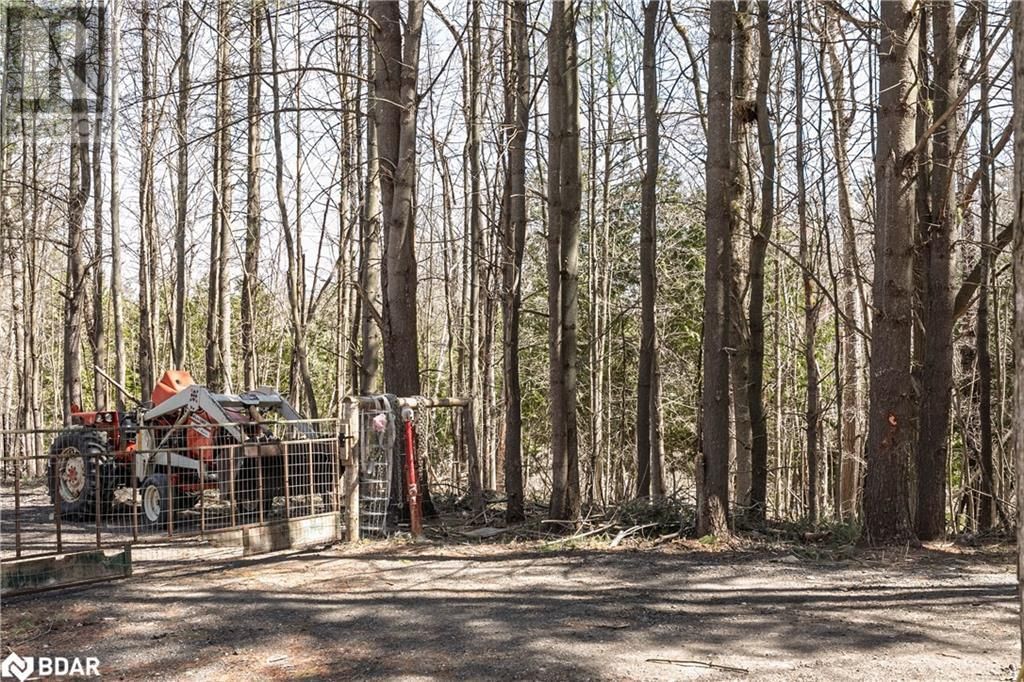 8294 COUNTY RD 27 Image 17