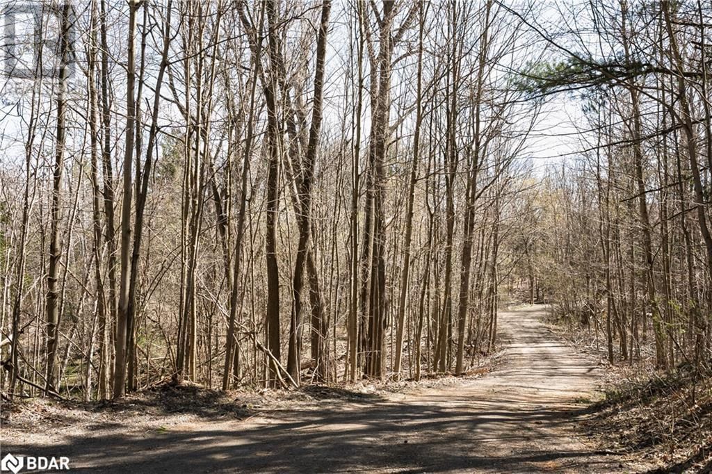 8294 COUNTY RD 27 Image 18