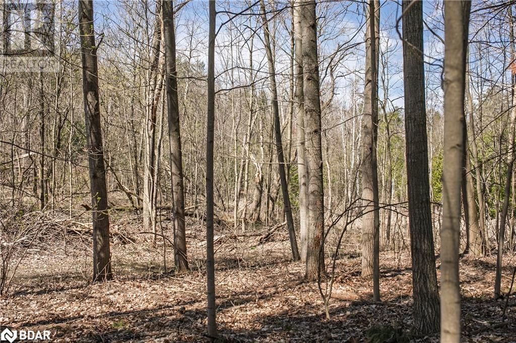 8294 COUNTY RD 27 Image 22
