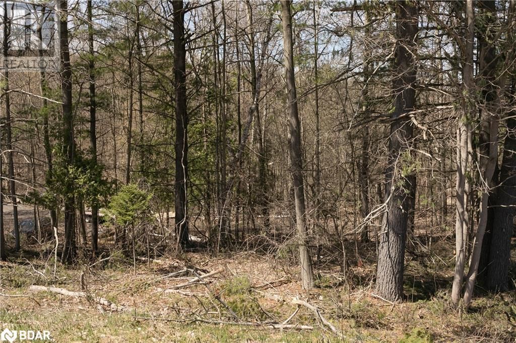 8294 COUNTY RD 27 Image 24