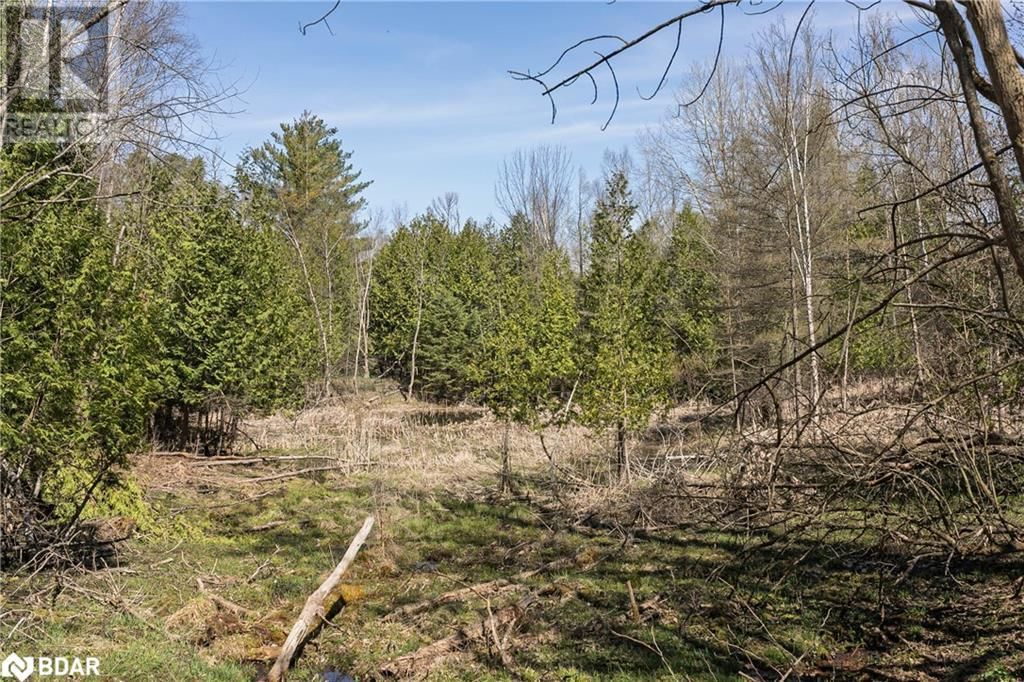 8294 COUNTY RD 27 Image 3