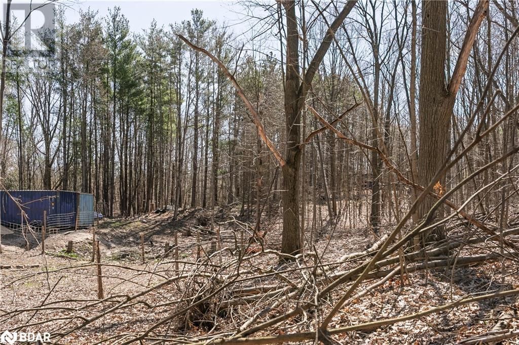 8294 COUNTY RD 27 Image 5
