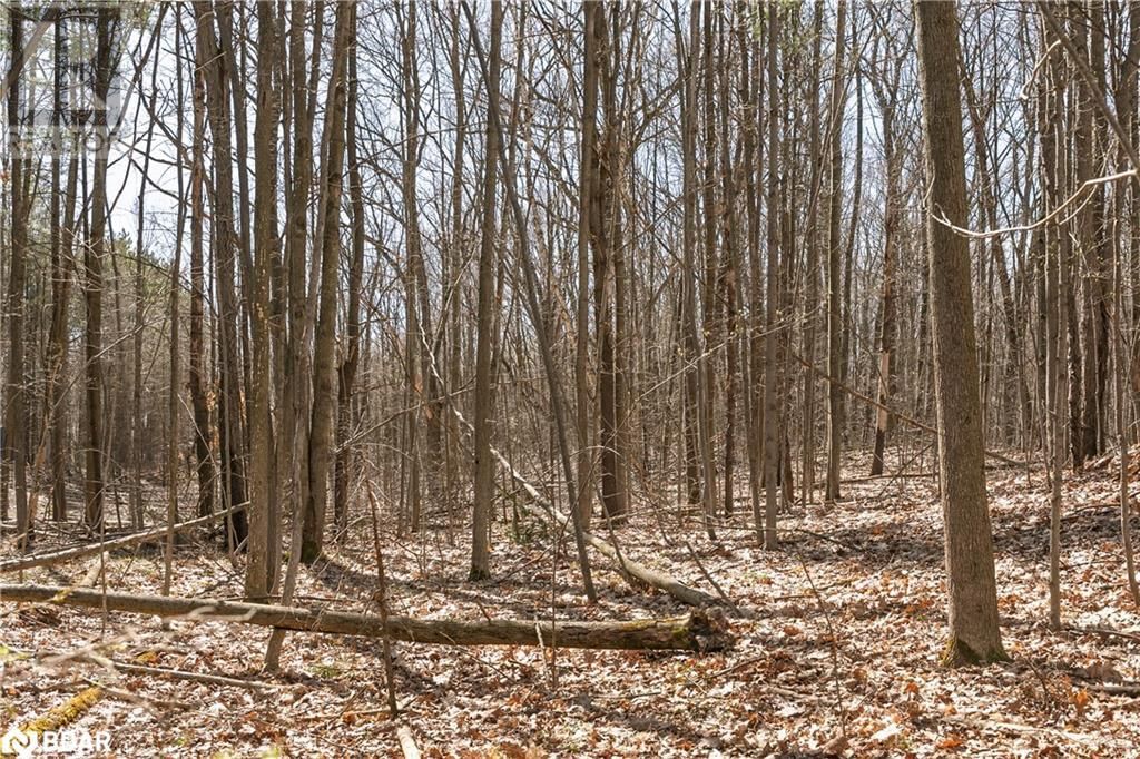 8294 COUNTY RD 27 Image 7