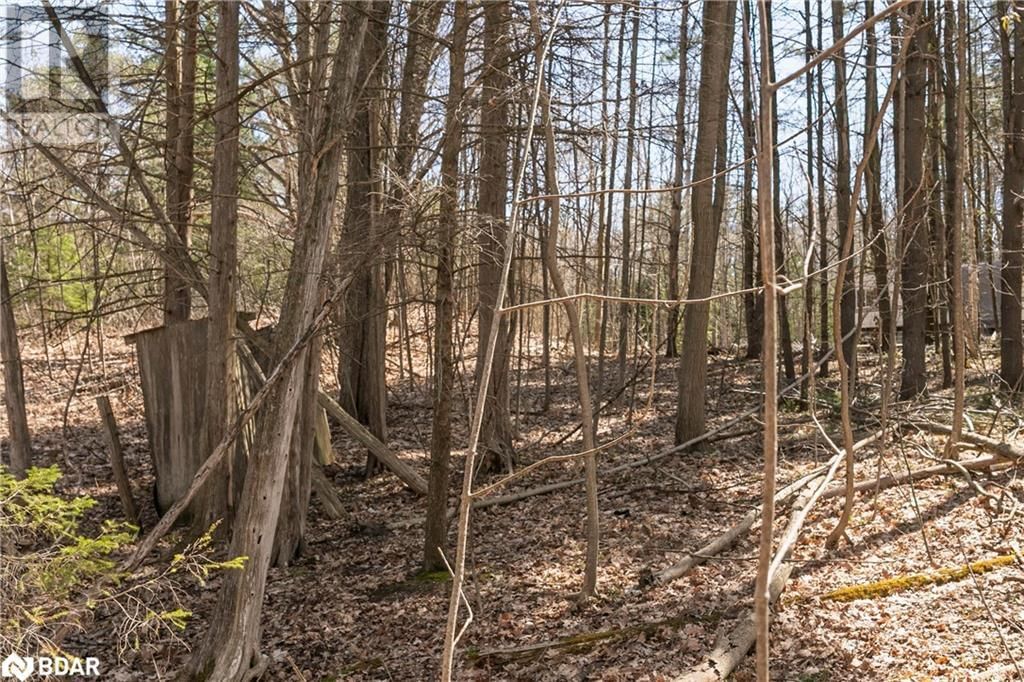 8294 COUNTY RD 27 Image 8