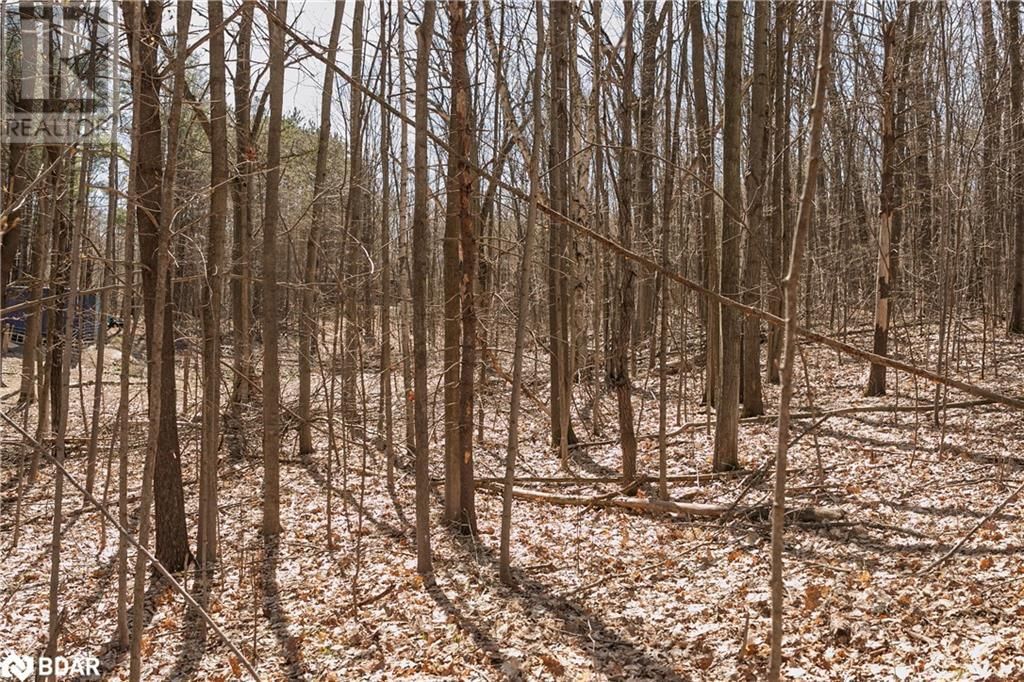 8294 COUNTY RD 27 Image 9