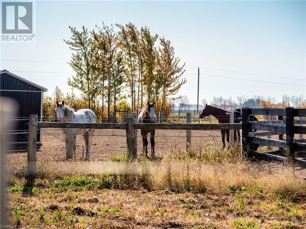 7262 SIDEROAD 15 Image 46