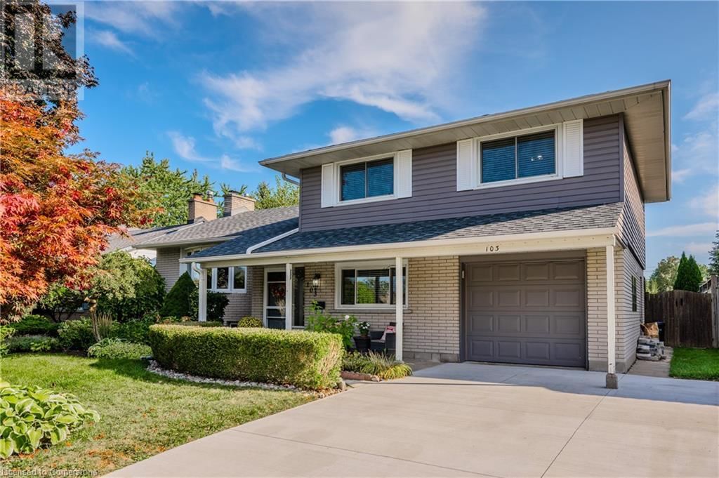 Primary Property View