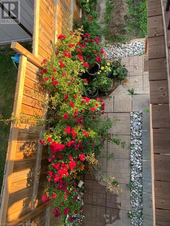 79 OAKES CRESCENT Image 37