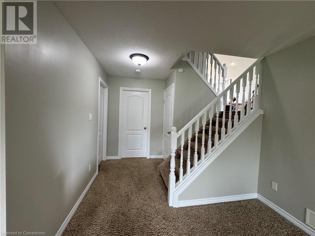 3 LAWRENCE AVENUE Image 7