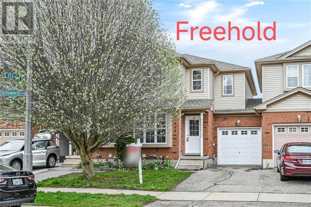 Primary Property View