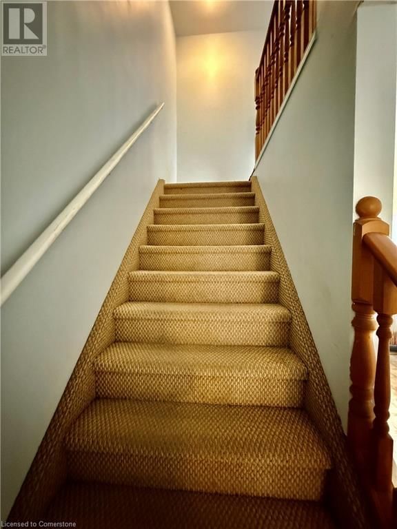 31 REISTVIEW STREET Image 17