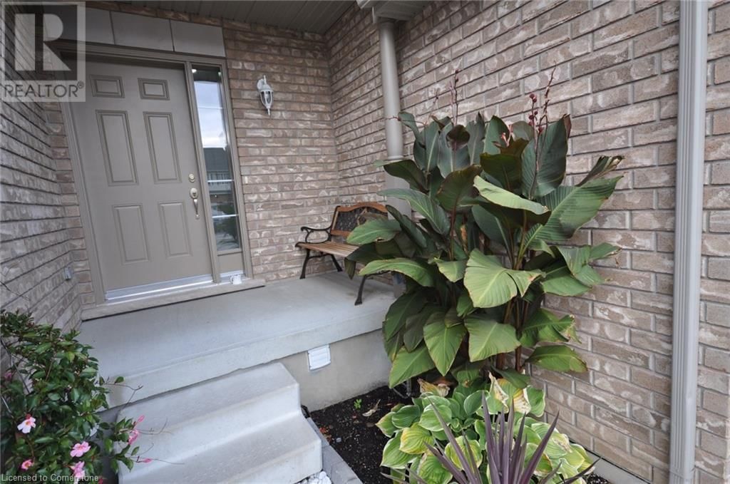 294 BRIARMEADOW DRIVE Image 6