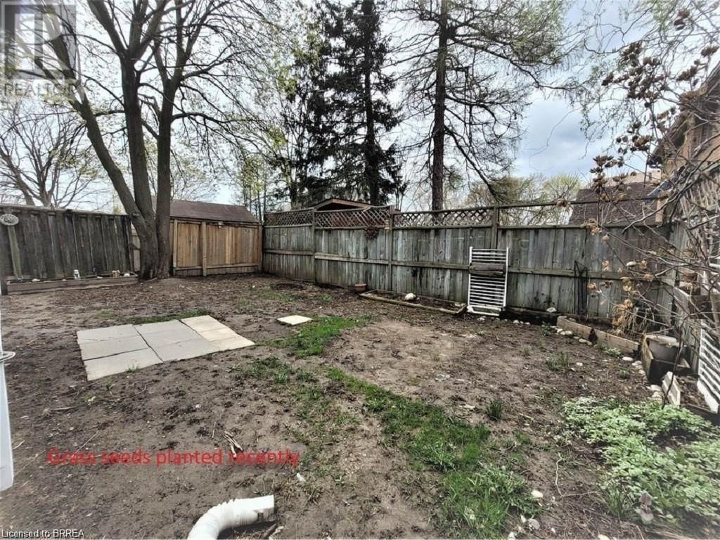 Lower - 167 ERIE AVENUE Image 9