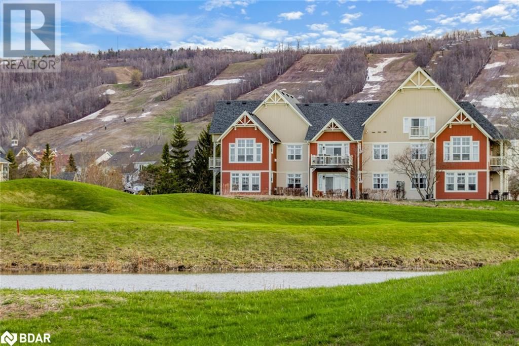 Primary Property View