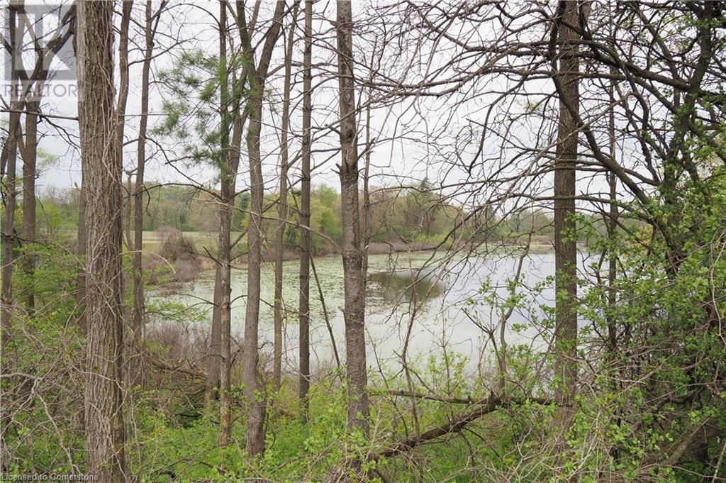 1266 ALPS ROAD Image 34