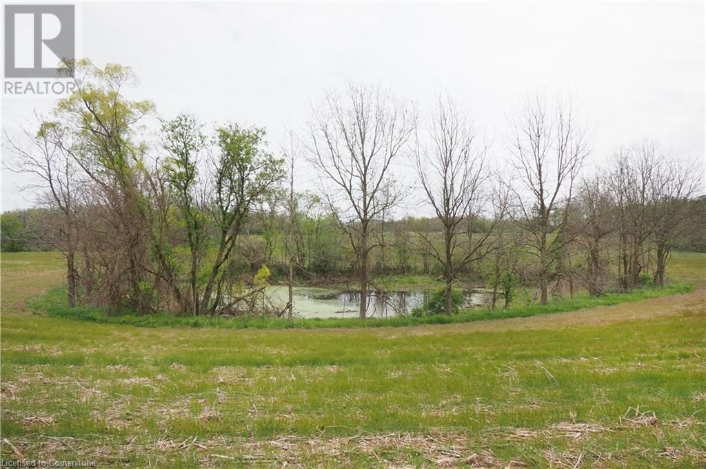 1266 ALPS ROAD Image 35