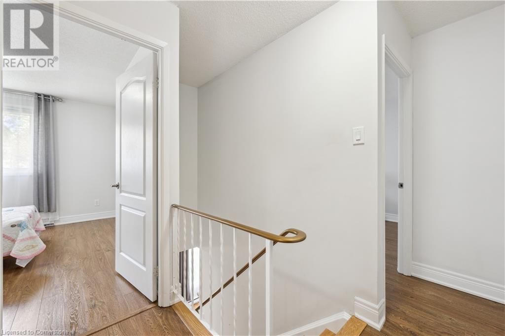 13 - 453 ALBERT STREET Image 17