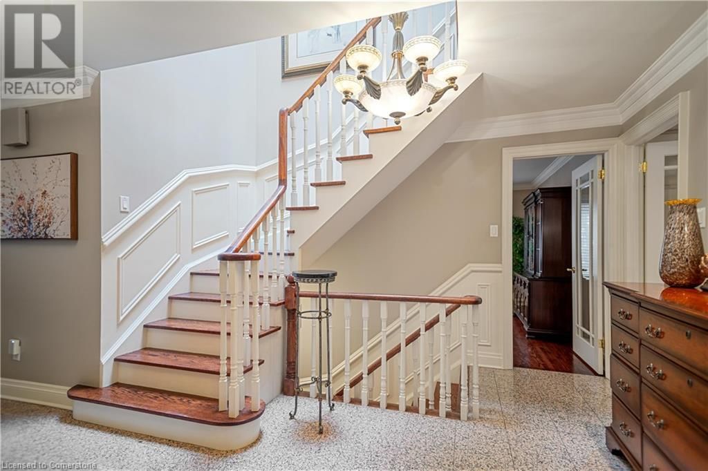 56 CAMEO STREET Image 5