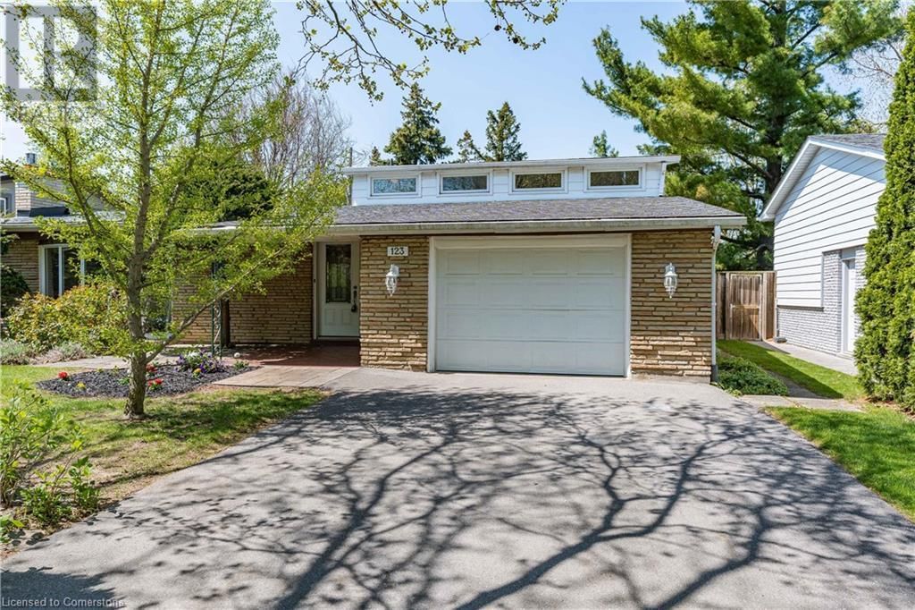123 LYNN COURT Image 1