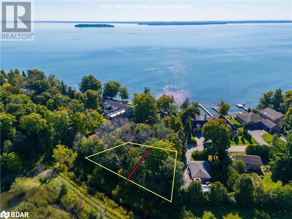 Primary Property View