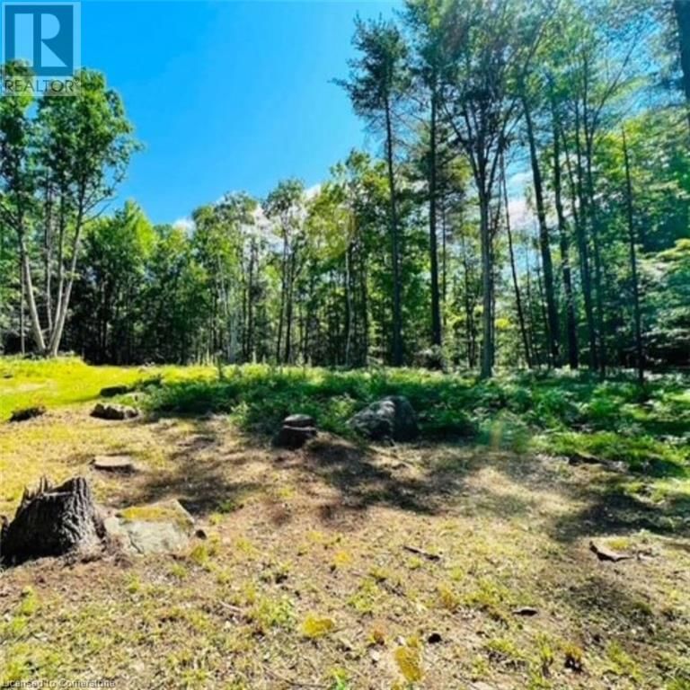 629 BOWEN ROAD Image 3