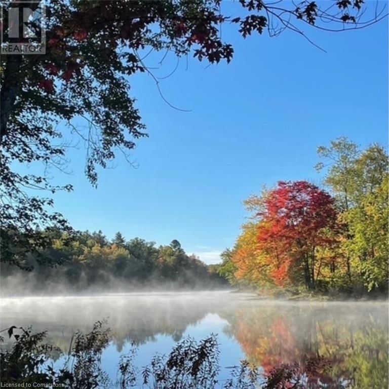 629 BOWEN ROAD Image 6