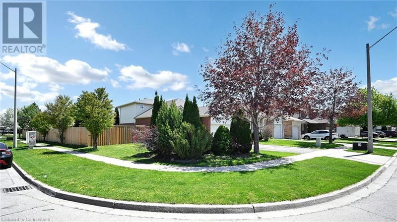 Tertiary Property View